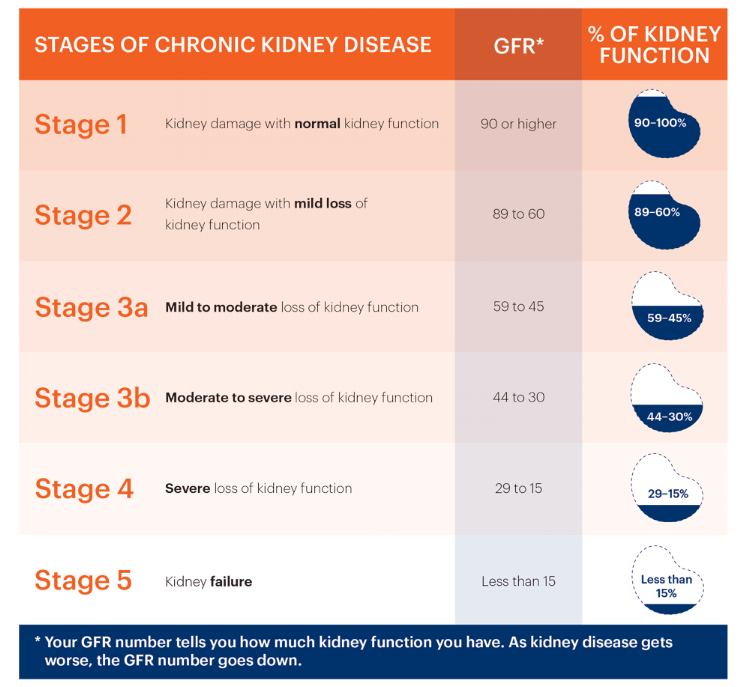 kidney-function-levels-chart-uk-2022